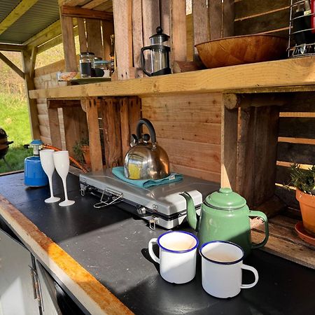 Geodesic Dome Glamping Hotel Llanidloes Ngoại thất bức ảnh