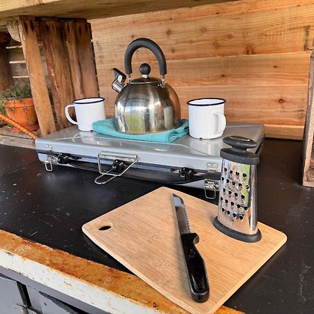 Geodesic Dome Glamping Hotel Llanidloes Ngoại thất bức ảnh