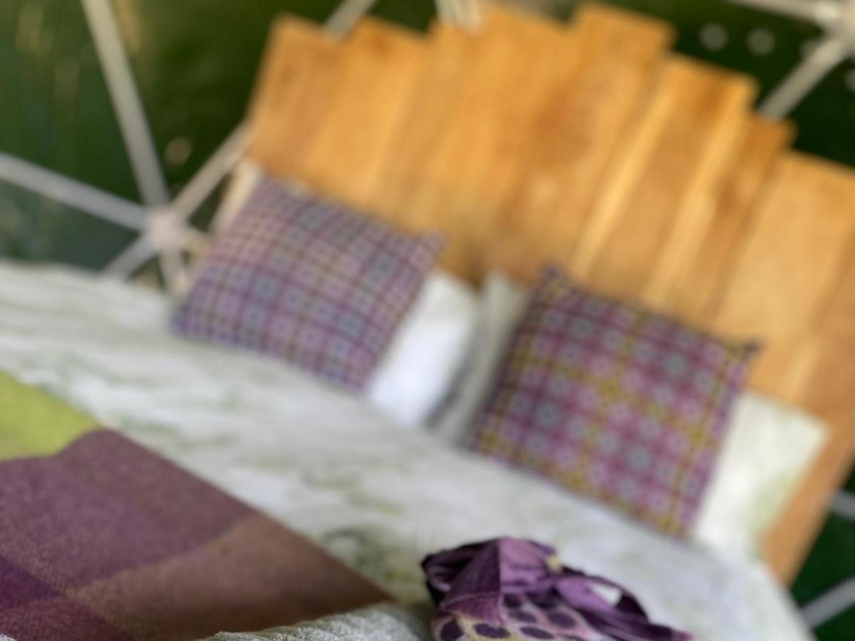 Geodesic Dome Glamping Hotel Llanidloes Ngoại thất bức ảnh