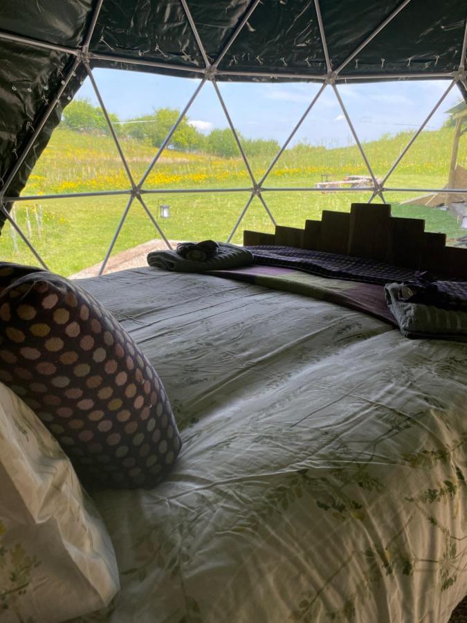 Geodesic Dome Glamping Hotel Llanidloes Ngoại thất bức ảnh