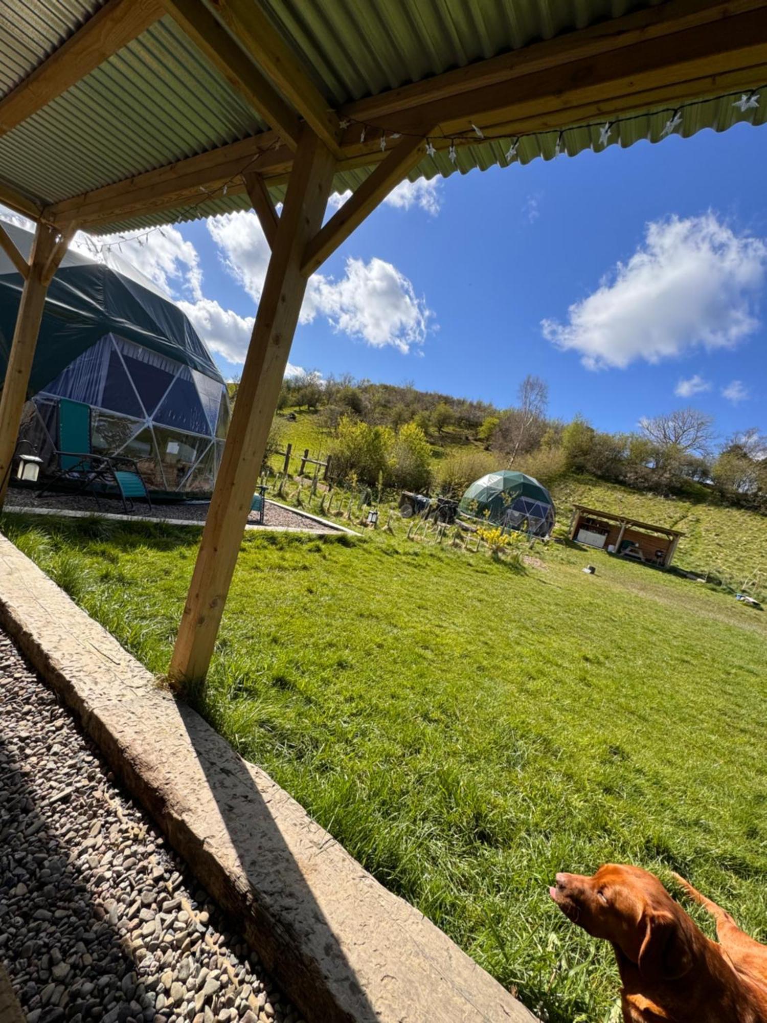 Geodesic Dome Glamping Hotel Llanidloes Ngoại thất bức ảnh